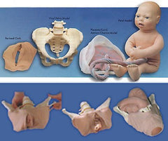 Advanced Childbirth Simulation Training Kit - Comprehensive Labor Delivery  Module