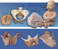 childbirth labor simulator model