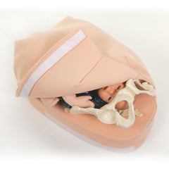 Leopold's Maneuvers, Palpation Skills Simulator Manikin Model Fetus Maternity Delivery