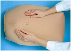 childbirth manikin model