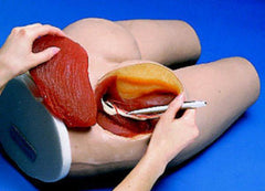  Intramuscular hip injection simulator model