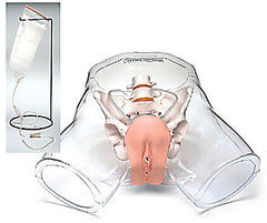 Catheterization Female Simulator Transparent