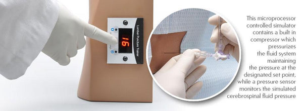 Lumbar Puncture Injection Simulator Spine: Buyamag – Buyamag INC