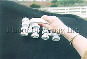 horse magetic field massager