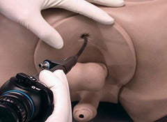 colon examination manikin simlator