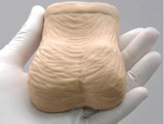 testcle scrotal examination model