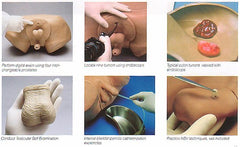 Rectal Examination Simulator catheterization model