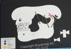 Dental Orthodontic Malocclusion Model Demonstration Board