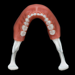 mandible implant drilling model