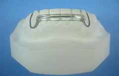 ARC Comfort Retainer Orthodontic Education Model