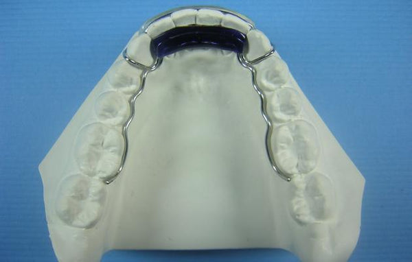 ARC Comfort Retainer Orthodontic Education Model