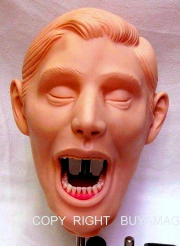dental manikin simulator practice model