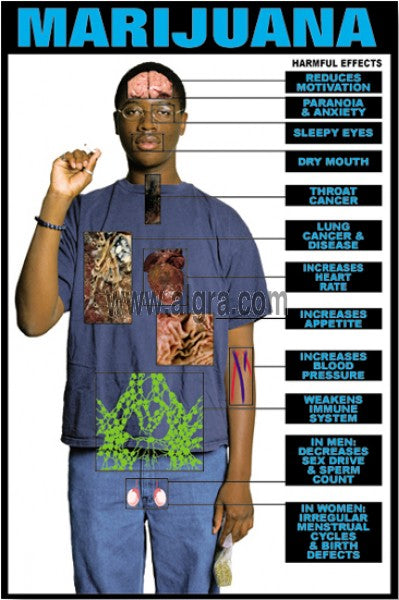 Marijuana Harmfull Drug Abusing Effect
