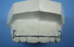 ARC Comfort Retainer Orthodontic Education Model