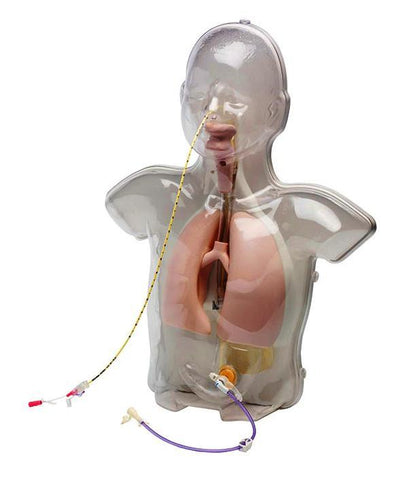 Demonstrate Gastrotomy Nasogastric Epiglottis Intubation Techniques Child Manikin