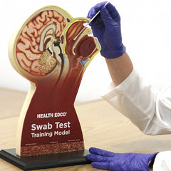 covid 19 nose throat flu swab test model