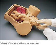 Childbirth Obstetric manikin