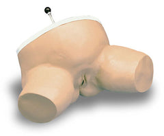 Birth Station Simulator Fetal Head Ischial Spine Relations