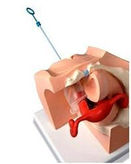 Female Birth Control Pelvis Safe Sex Condom Training & Educational Simulator Combo Gynecological Model