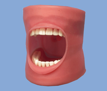 dental oral cavity cover drainage