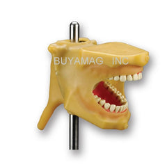 Oral Cavity Cover drainage system