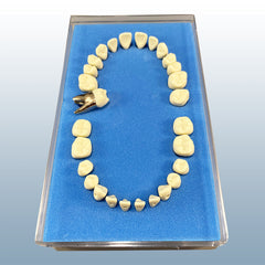 orthodontic metal teeth 