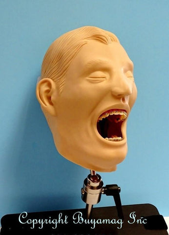 orthodontic manikin simulator