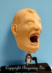 orthodontic manikin