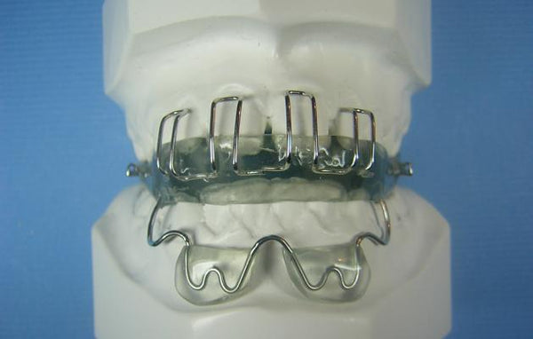 Teuscher Activator Orthodontic Model
