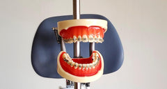 orthodontic ligature tying practice typodont