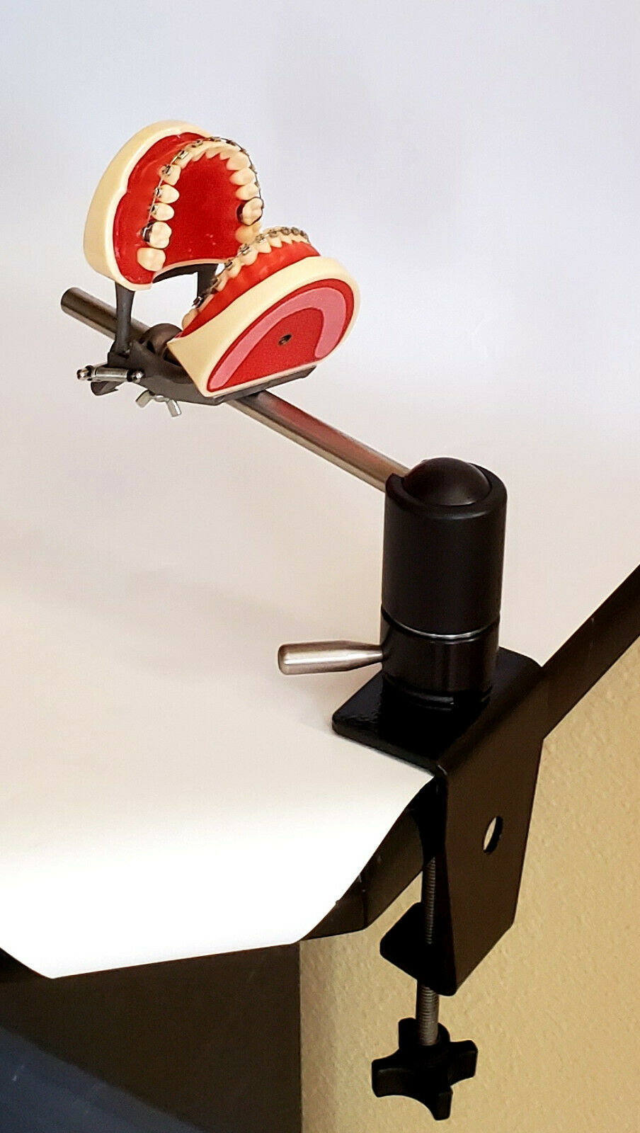 Orthodontic Manikin Model: Simulator Mount – Buyamag INC