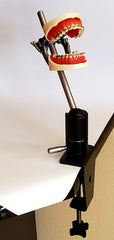 orthodontic manikin simulator