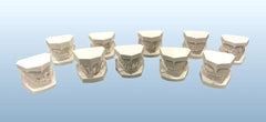 orthodontic malocclusion models set 