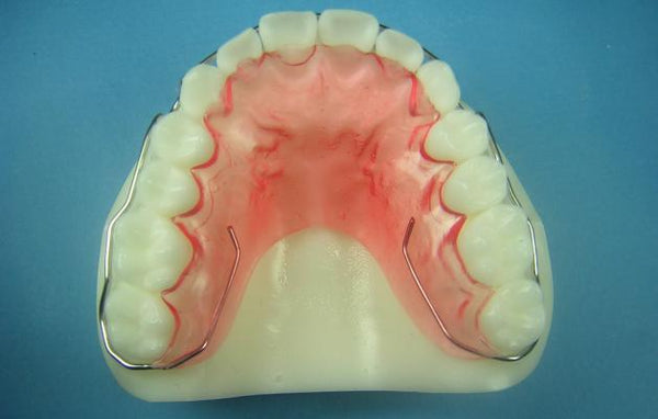 Wraparound Retainer Orthodontic Model