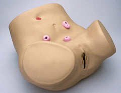 Ostomy Care Patient Training Simulator