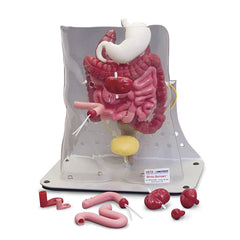 otto ostomy model simulator