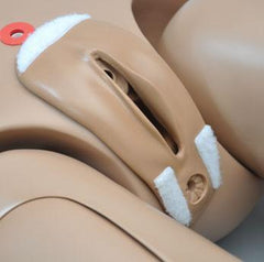 Hospital Training Patient Care Manikin