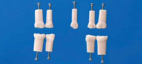 pediatric endodontic teeth