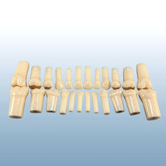 pedo child teeth replacement