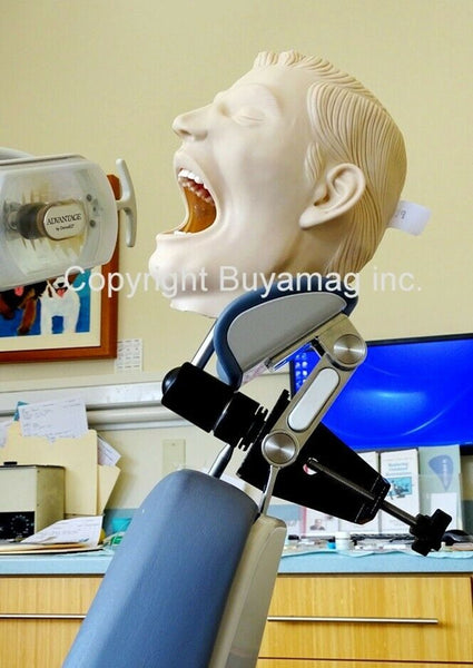 Adult Dental Tooth Extraction Training Simulator/Manikin Complete & Mount Of Your Choice