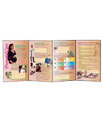 Prenatal Care Folding Display