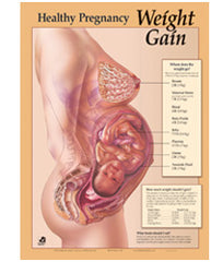 Healthy Pregnancy Weight Gain Chart