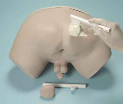 Prostate Examination Simulator Model