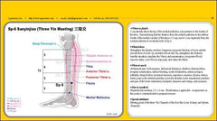 Acupuncturists Quick Index Guide Book For Acupuncture Points & Meridians