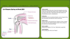 Acupuncturists Quick Index Guide Book For Acupuncture Points & Meridians