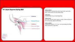 Qdex Acupuncturists Quick Index Quide Of Acupoints, Meridians