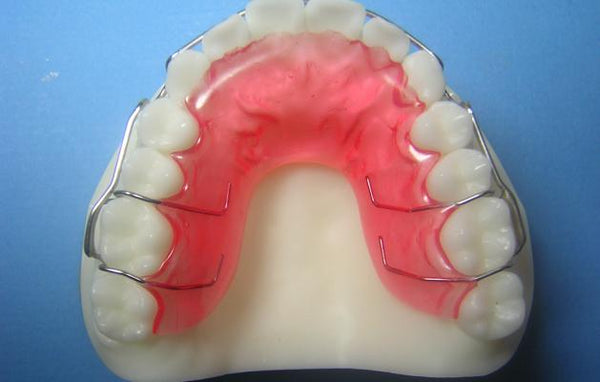 Adams Clasps Retainer Orthodontic Model