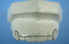  Spring Retainer Orthodontic Model