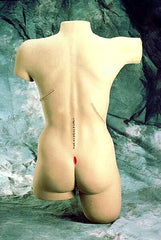 surure stapling manikin model