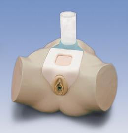 Urethral & Suprapubic Catheterization maniki
